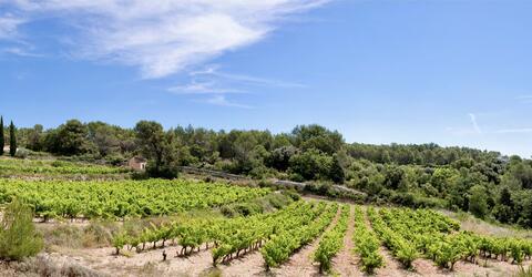 Réserve Secrète White 2023