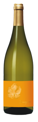 Sauvignon Blanc 2024