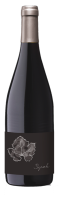 Syrah 2024